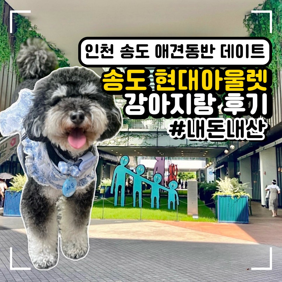 송도 현대아울렛 애견동반 쇼핑 및 카페 이용 후기
