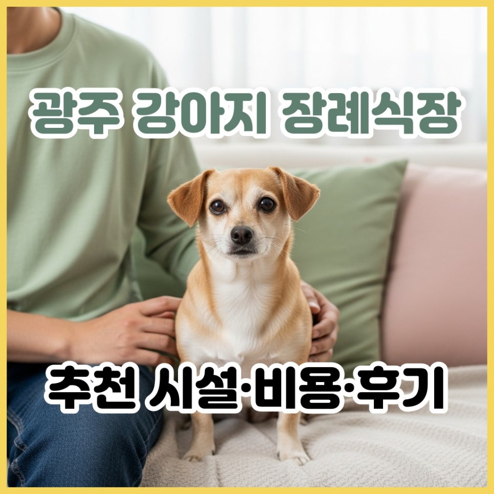 광주 강아지 장례 비용, 후기, 추천 장소 총정리