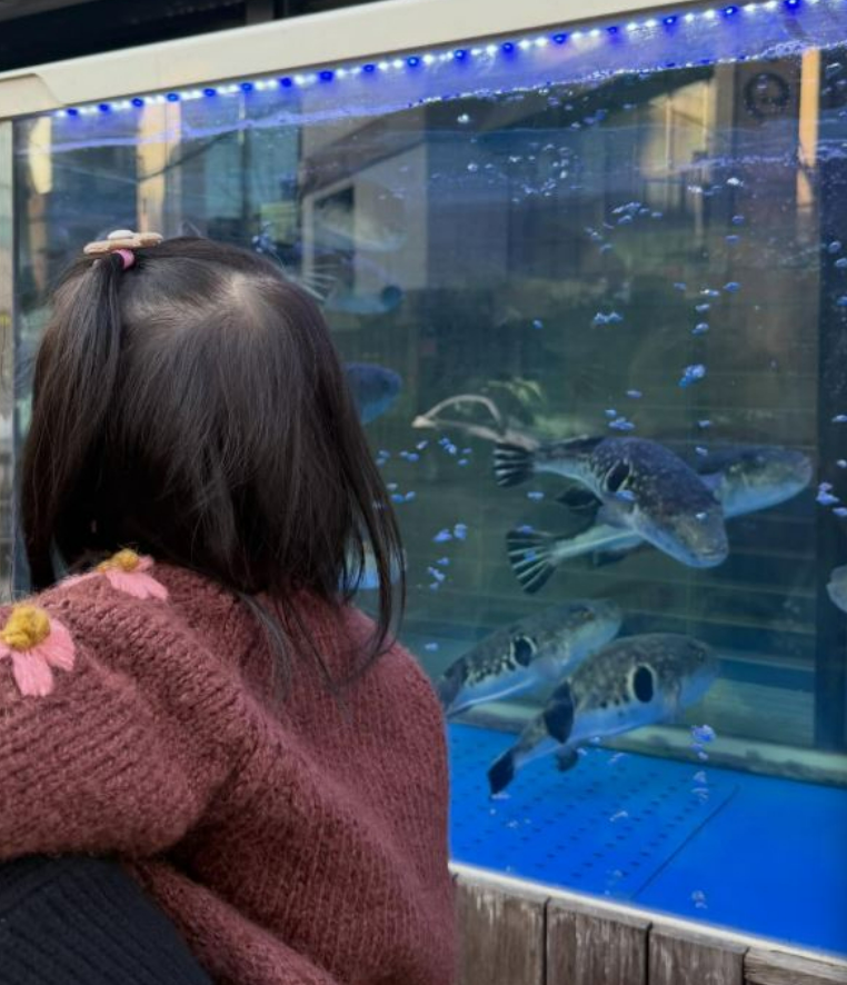 이민정 딸 서이 백일사진 공개 귀엽게 잘 나왔다 고슴도치맘 지금 다시 보는 사람들이 많다.! 이미지 3