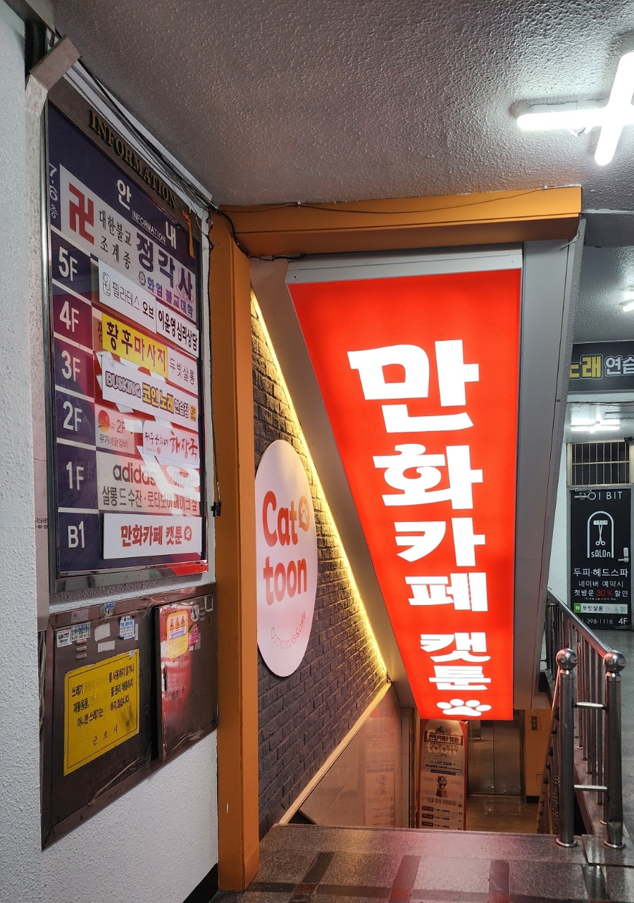 산본 만화카페 캣툰, 고양이와 함께 즐기는 힐링 공간
