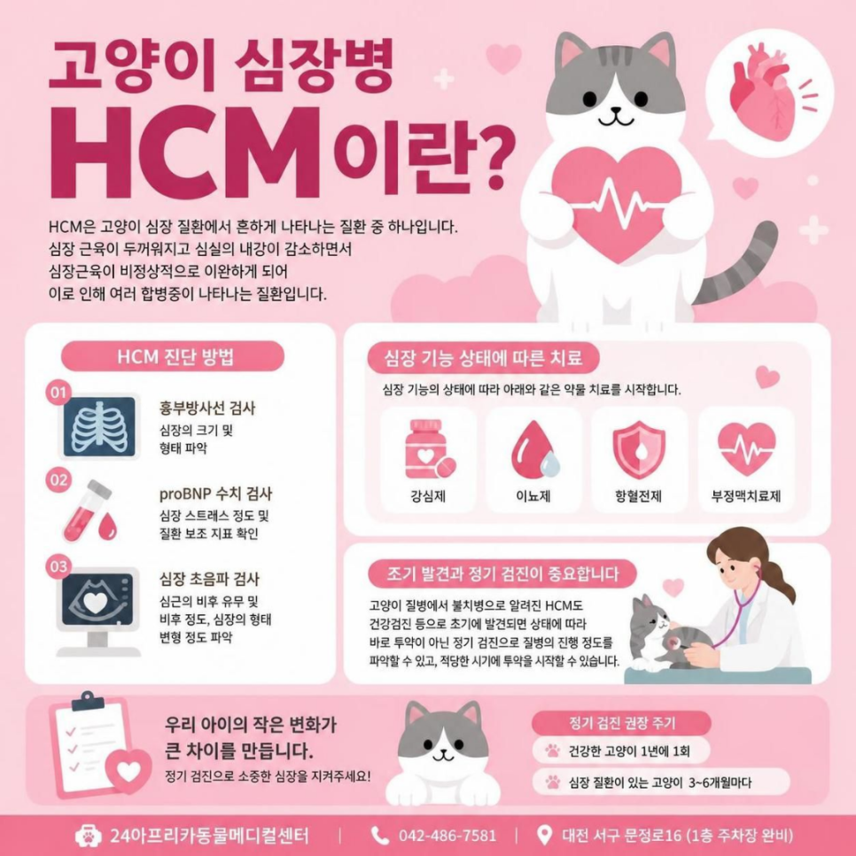 대전 고양이 심장병 종류별 증상과 관리법 — 사진 2