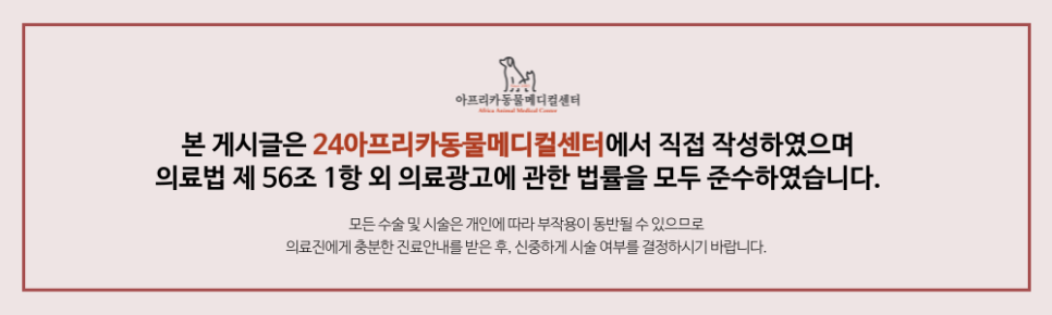 대전 고양이 심장병 종류별 증상과 관리법 — 사진 12