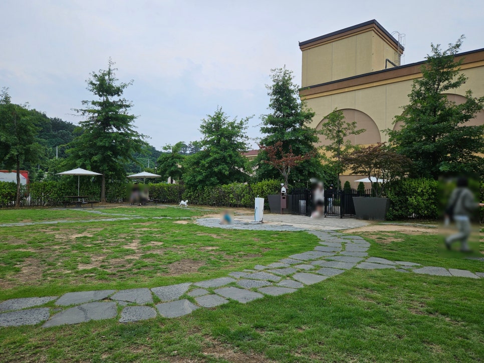 용인 롯데 프리미엄 아울렛 기흥점 펫파크 반려견 놀이터 후기 — 사진 10