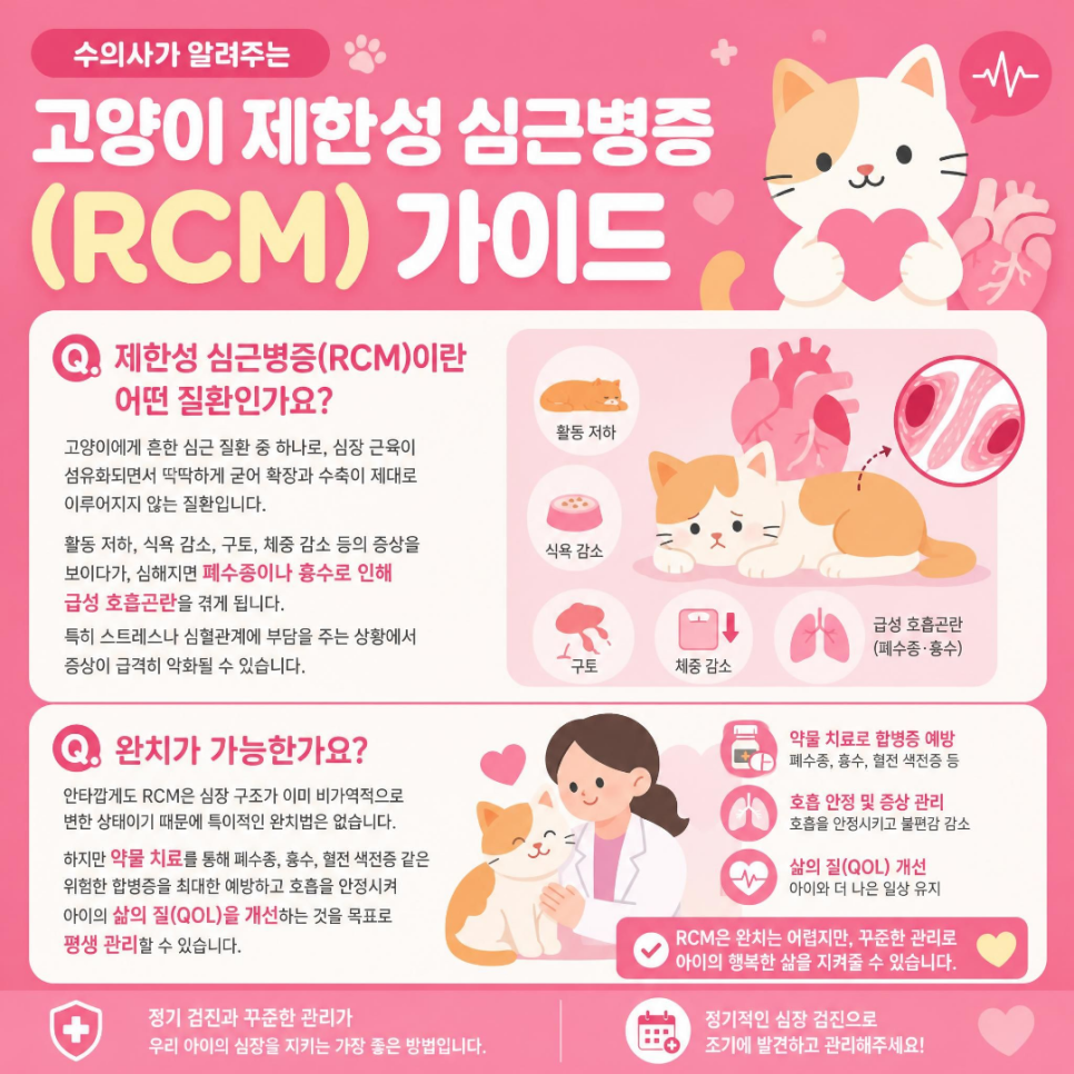 대전 고양이 심장병 종류별 증상과 관리법 — 사진 3