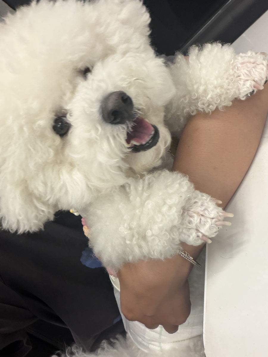 신도림 애견동반카페 멍, 산책 후 방문 추천 후기 — 사진 11