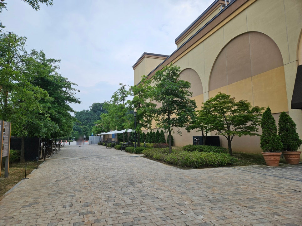 용인 롯데 프리미엄 아울렛 기흥점 펫파크 반려견 놀이터 후기 — 사진 2