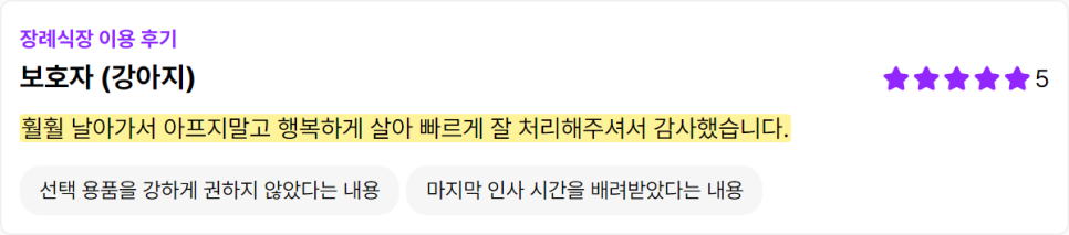 성남 강아지 장례식장 비용, 절차, 마지막 인사까지 — 사진 5