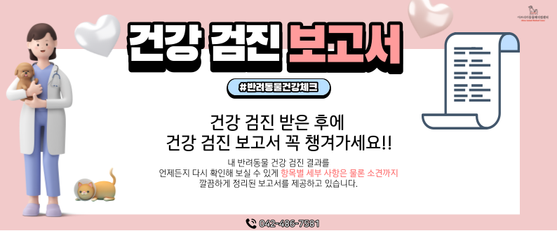 대전 고양이 심장병 종류별 증상과 관리법 — 사진 11