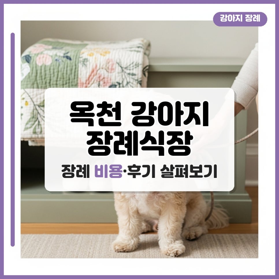 옥천 강아지 장례식장 비용, 후기, 추천시설 완벽 정리