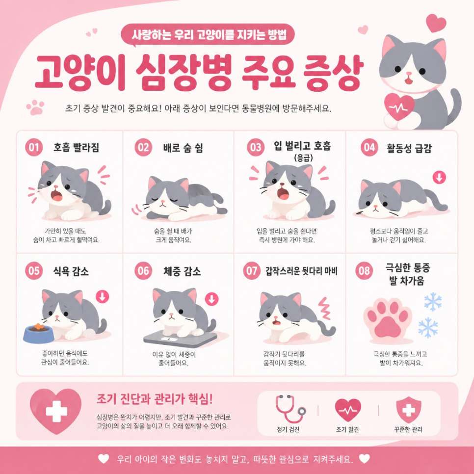 대전 고양이 심장병 종류별 증상과 관리법 — 사진 6