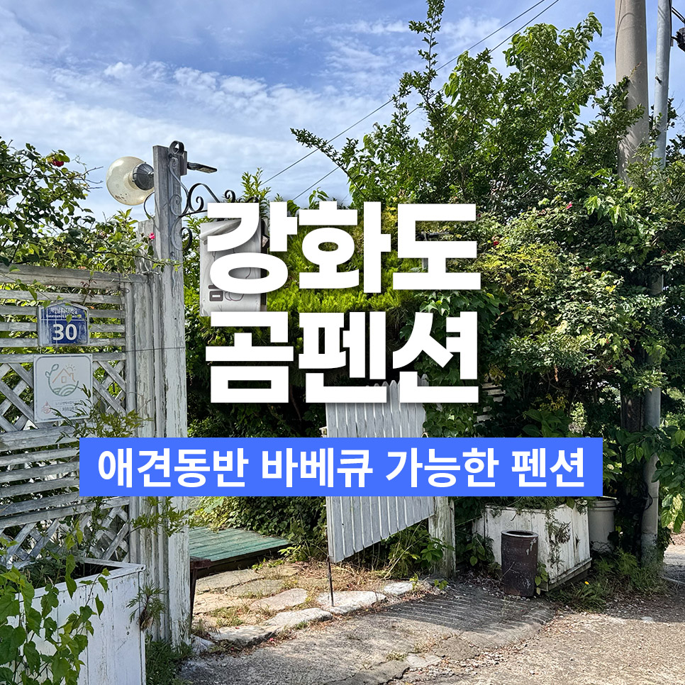 강화도 애견동반 곰펜션, 바베큐와 함께한 강아지 여행 후기