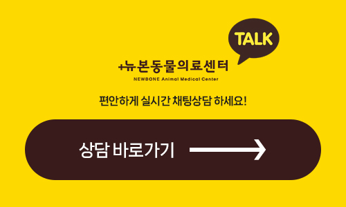 평택 고양이 앞다리 골절 수술 후기 및 회복 과정 — 사진 8