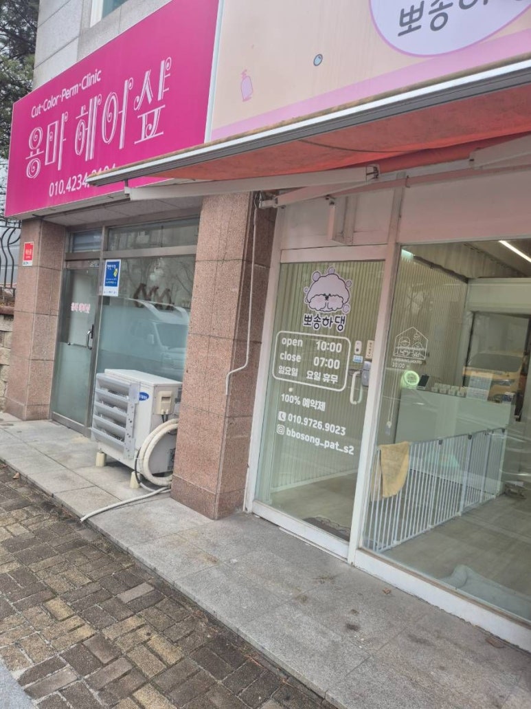 강아지 용인 뽀송하댕 강아지 미용 후기
