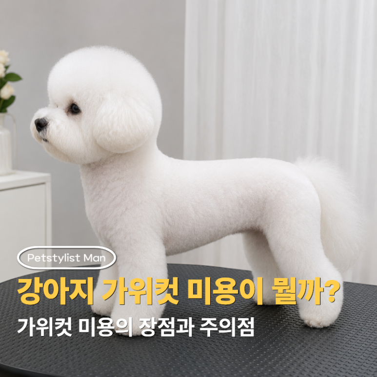강아지 강아지 가위컷 미용 장점과 주의점