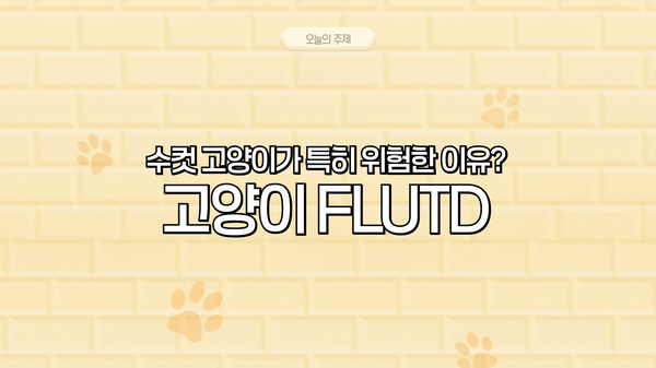 강북구 동물병원 고양이 하부요로질환 증상과 원인 — 사진 2