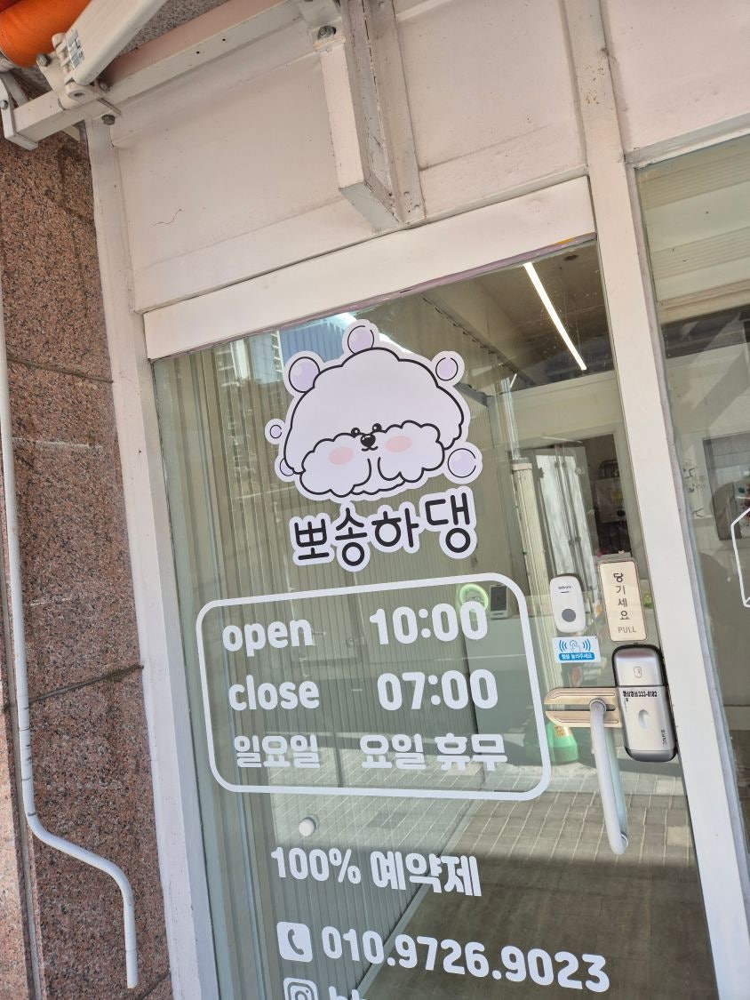 용인 뽀송하댕 강아지 미용 후기 — 사진 2