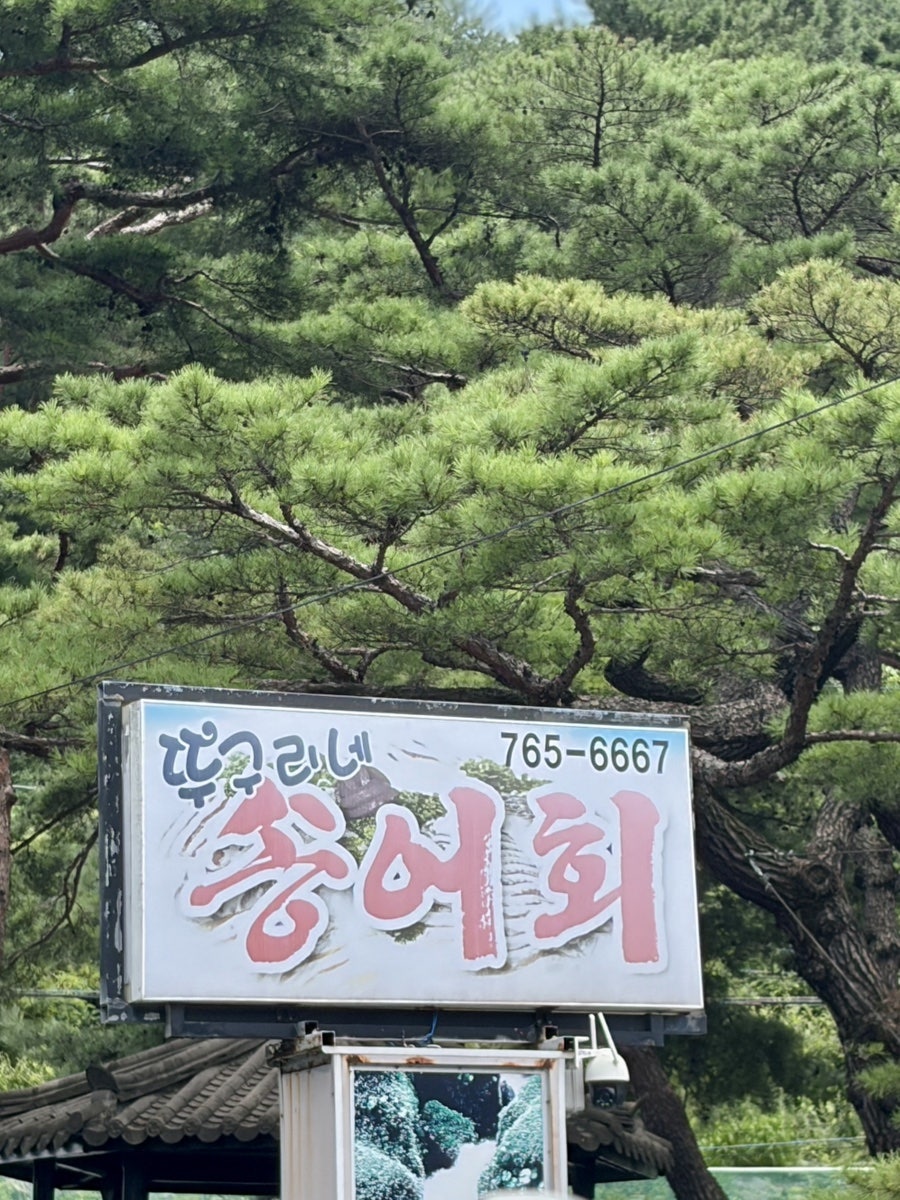 원주 용수골 뚜구리네: 애견 동반 가능한 계곡 맛집 후기 — 사진 2