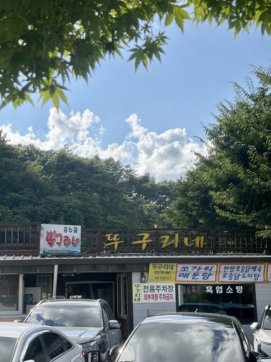 원주 용수골 뚜구리네: 애견 동반 가능한 계곡 맛집 후기 — 사진 3