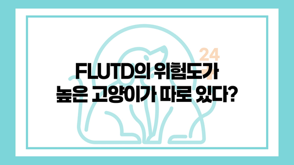 강북구 동물병원 고양이 하부요로질환 증상과 원인 — 사진 5