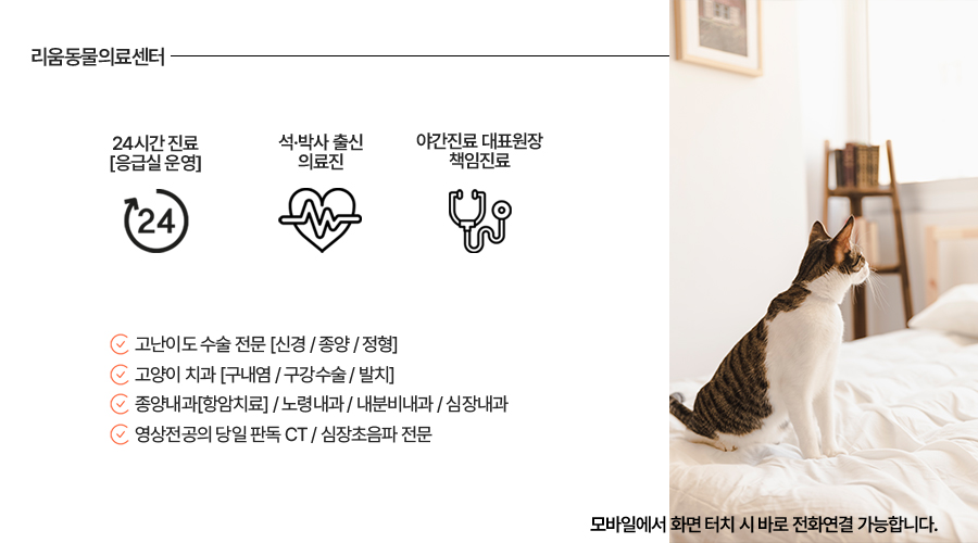 리움동물의료센터 8월 진료 시간표 안내 — 사진 7