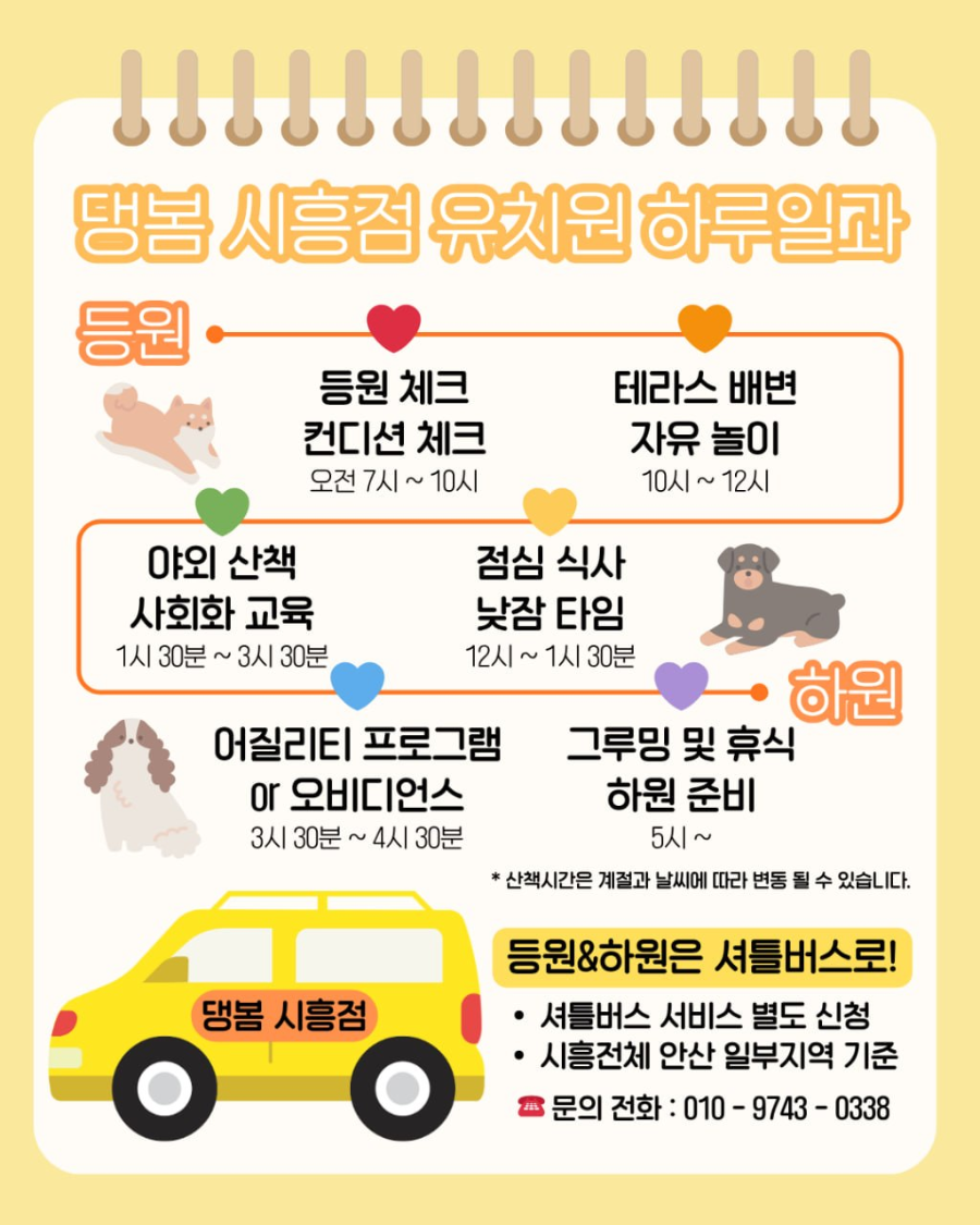 시흥배곧 강아지 유치원·호텔·미용: 24시간 선생님 상주 — 사진 4