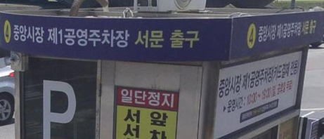 강아지 강릉 중앙시장 애견동반 먹거리 투어: 배니닭강정 후기