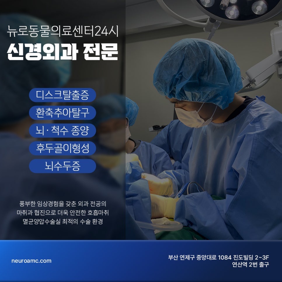 치와와 디스크 수술, 부산 뉴로동물의료센터 MRI부터 재활까지 — 사진 8