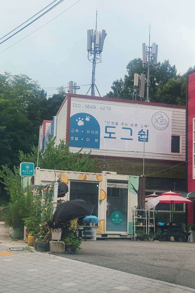 오산 강아지훈련 도그쉽, 다견가정 보호자 교육 상담 후기 — 사진 2