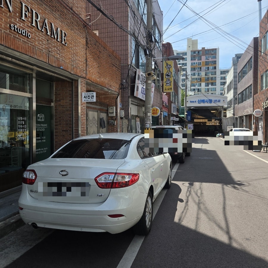대구 윤프레임스튜디오, 반려견과의 소중한 추억 사진으로 남기기 — 사진 2