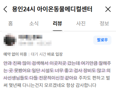 강아지 속눈썹 찔림, 눈곱·눈물 반복 시 확인 필수 — 사진 6