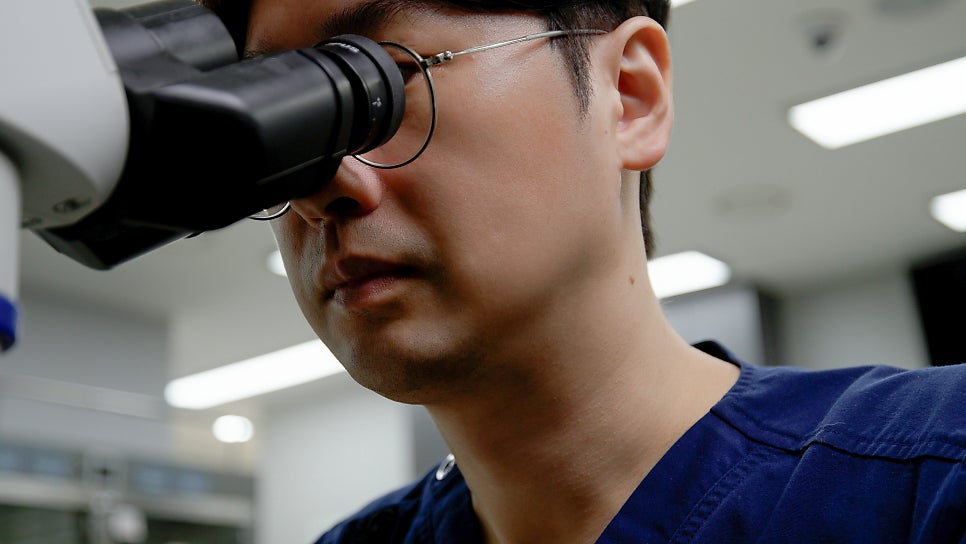 강아지 속눈썹 찔림, 눈곱·눈물 반복 시 확인 필수 — 사진 4