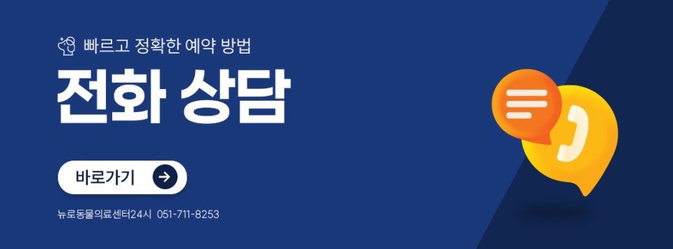 치와와 디스크 수술, 부산 뉴로동물의료센터 MRI부터 재활까지 — 사진 10