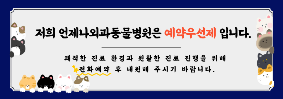 강아지 발바닥 화상 증상과 예방법 — 사진 2