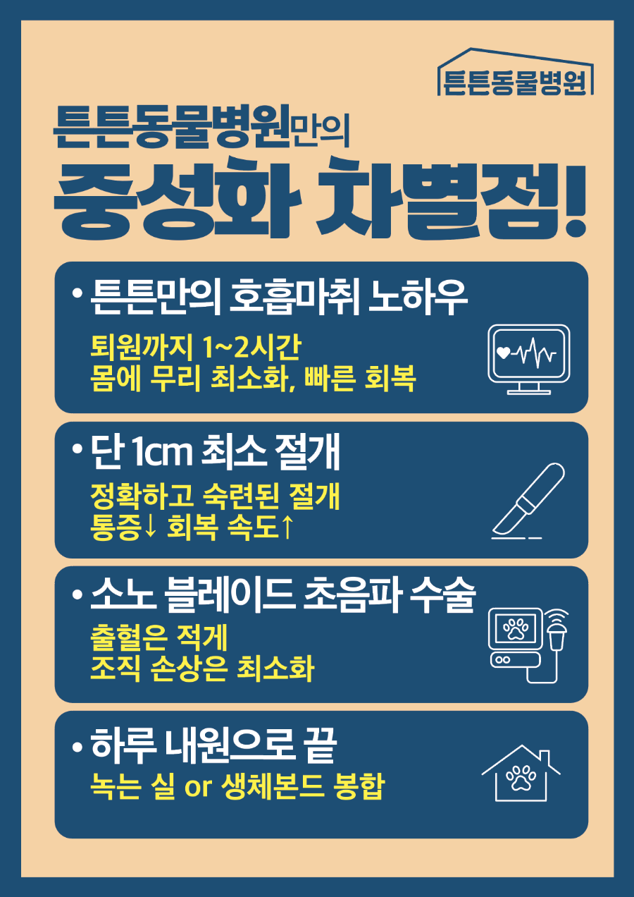 10개월 강아지 중성화 및 유치 발치, 위례 튼튼동물병원 — 사진 6