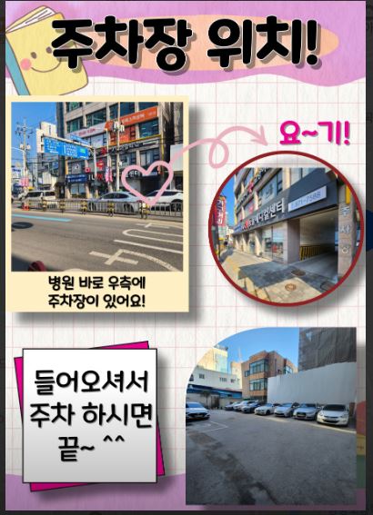 의정부 아이유동물병원, 아메리칸 불리 피부염 및 외이염 치료 후기 — 사진 10