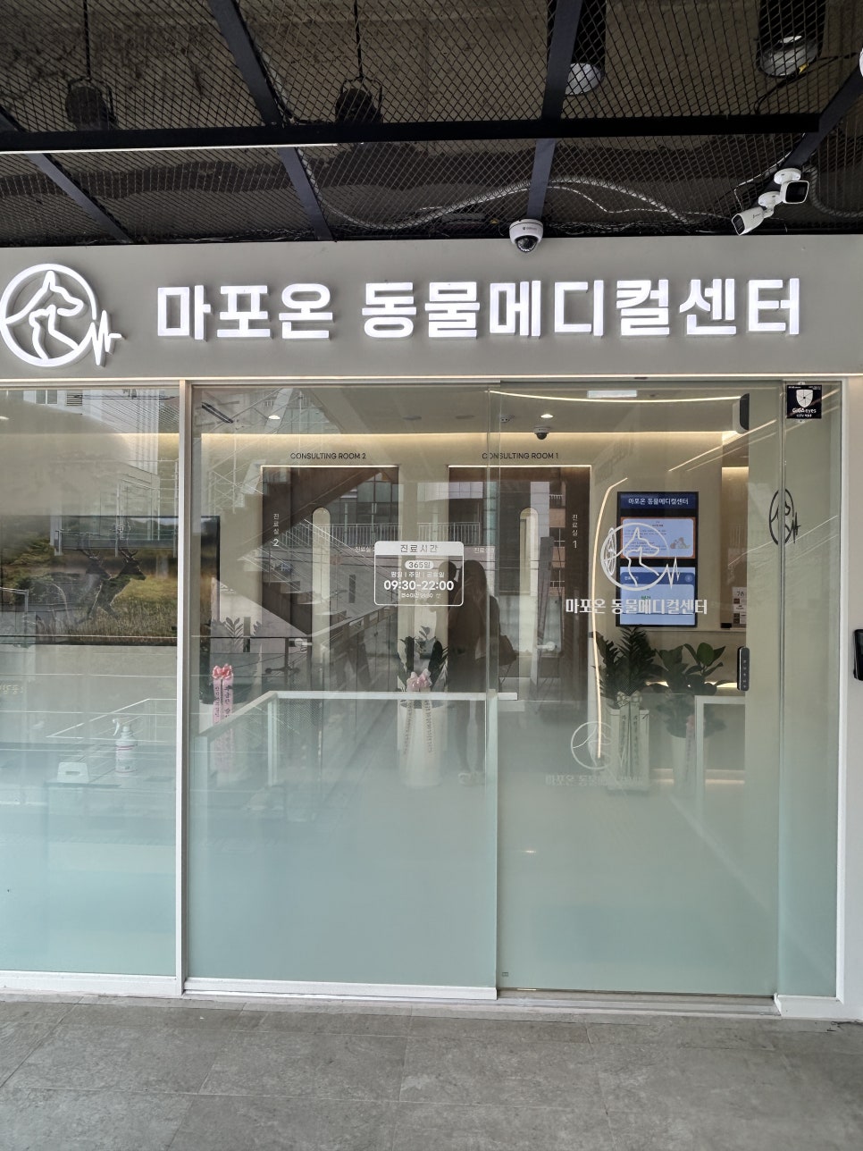 마포온동물메디컬센터 강아지 건강검진 후기 — 사진 2