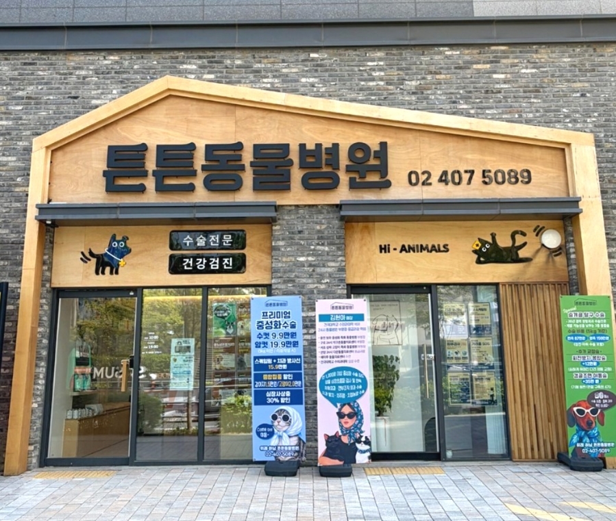 위례 슬개골 탈구 수술, 3단계 정교한 교정으로 재발 없이 — 사진 14