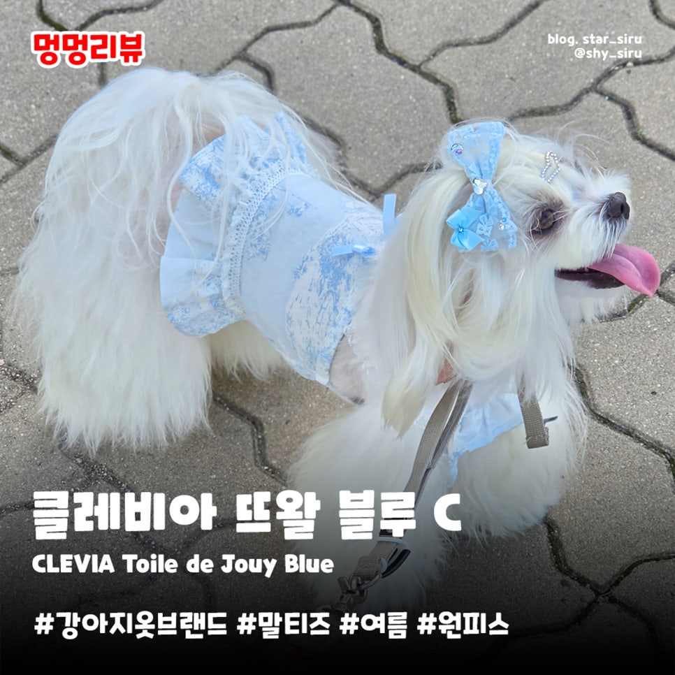 강아지옷 클레비아 여름 원피스 후기