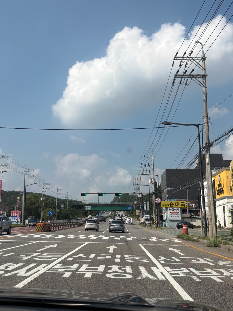 양주 포우릿지, 350평 천연잔디 운동장과 반려견 동반 식사