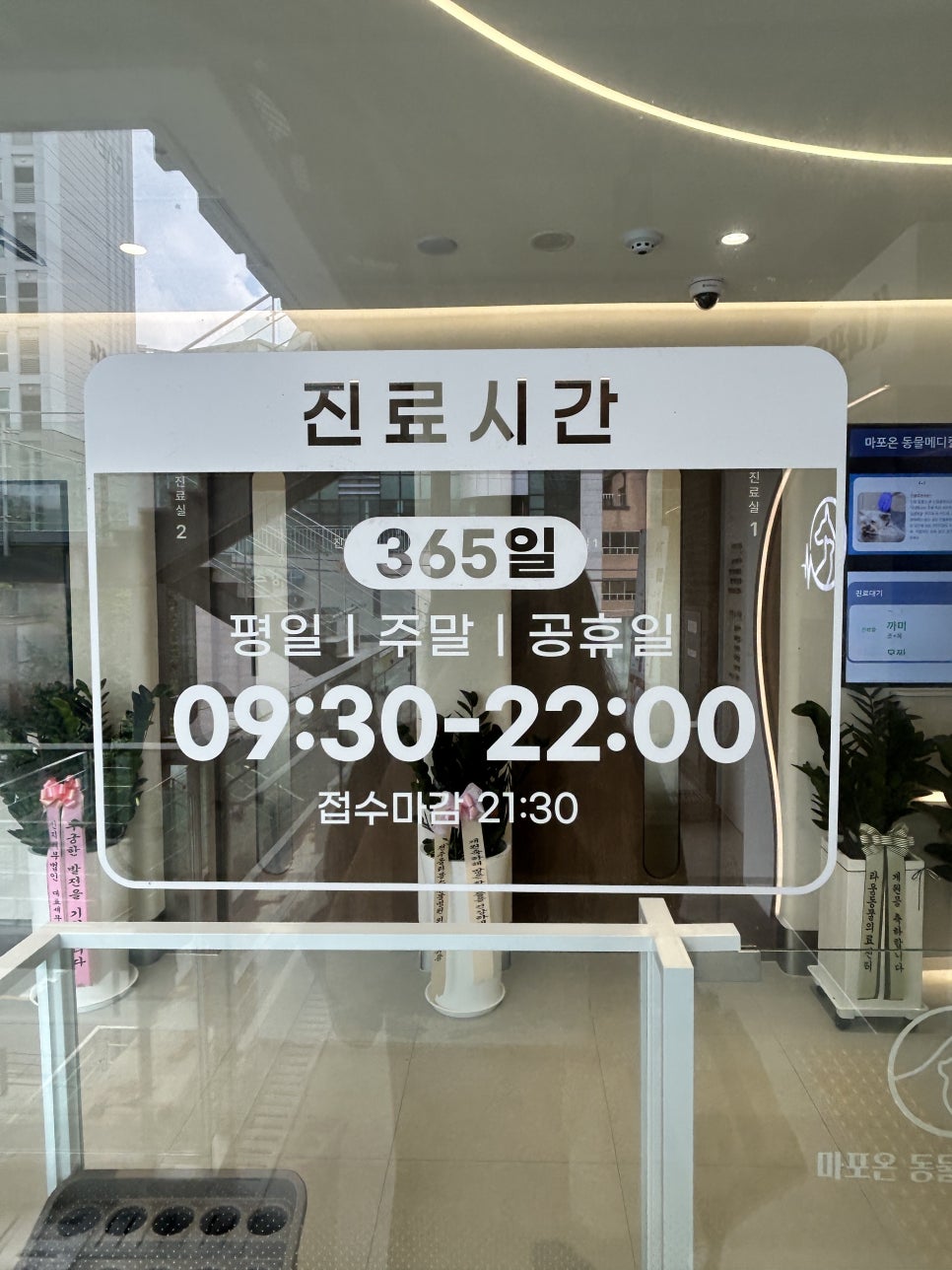 마포온동물메디컬센터 강아지 건강검진 후기 — 사진 3