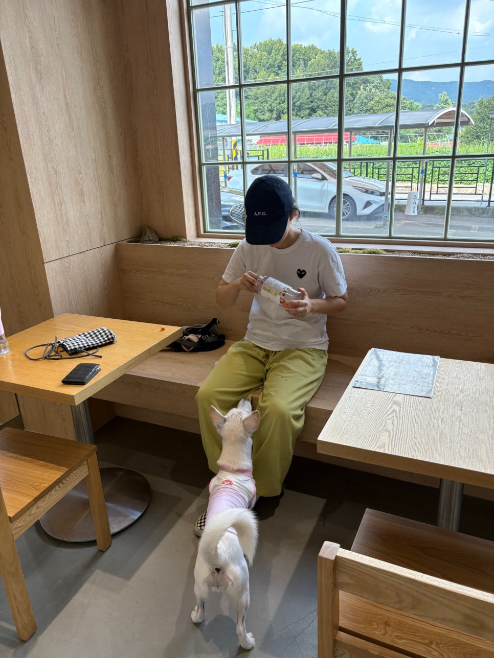 양주 포우릿지, 350평 천연잔디 운동장과 반려견 동반 식사 — 사진 7