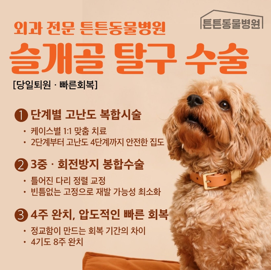위례 슬개골 탈구 수술, 3단계 정교한 교정으로 재발 없이 — 사진 18