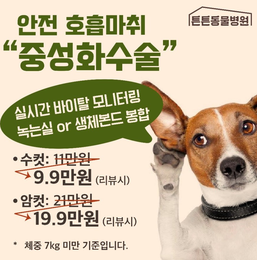 10개월 강아지 중성화 및 유치 발치, 위례 튼튼동물병원 — 사진 7