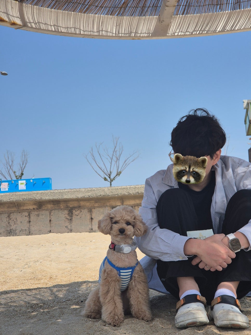 군산 옥돌해변, 강아지와 함께하는 애견동반 바다 여행 — 사진 4