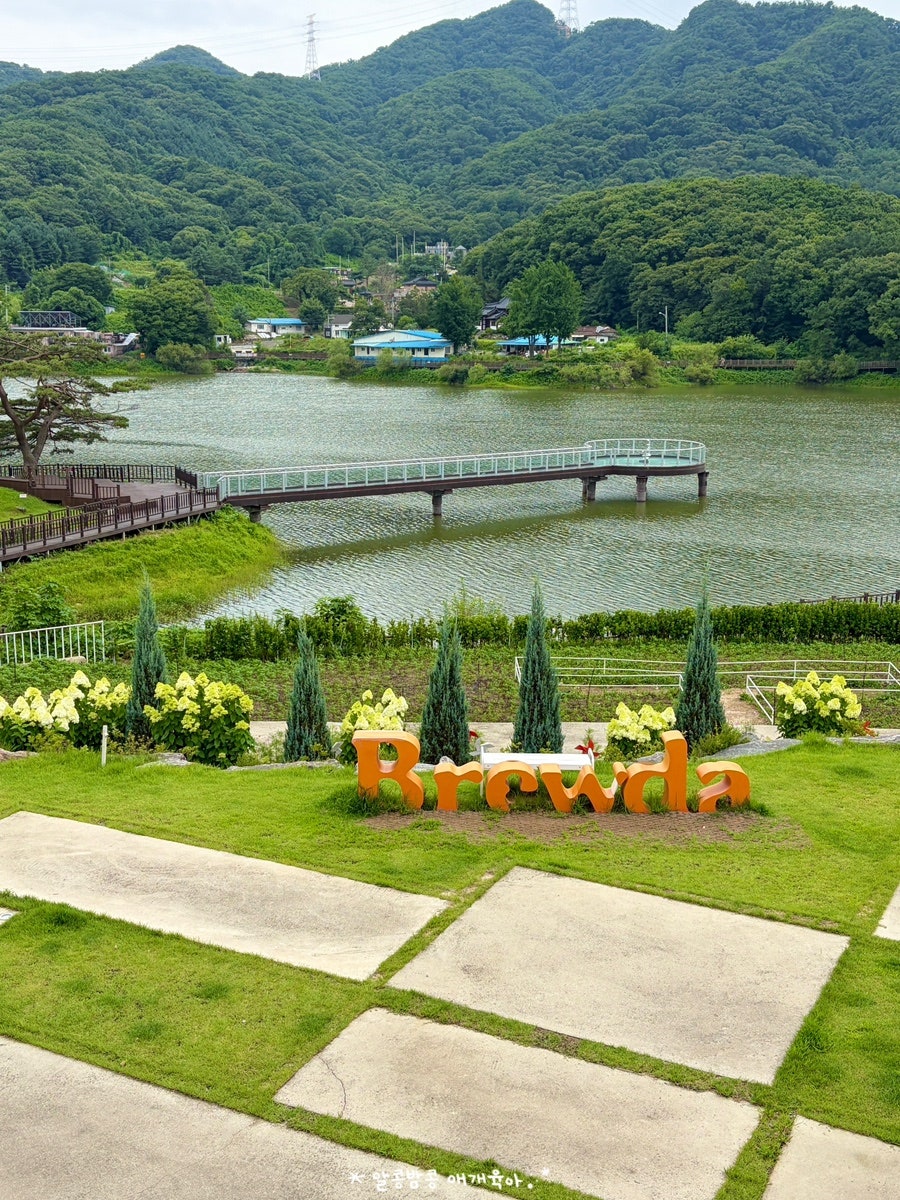 양주 애견동반 카페 브루다, 아기·강아지와 방문 후기 — 사진 7