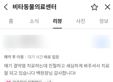 강아지 한쪽 눈 눈물, 광주 양동 동물병원 원인 진단 — 사진 3