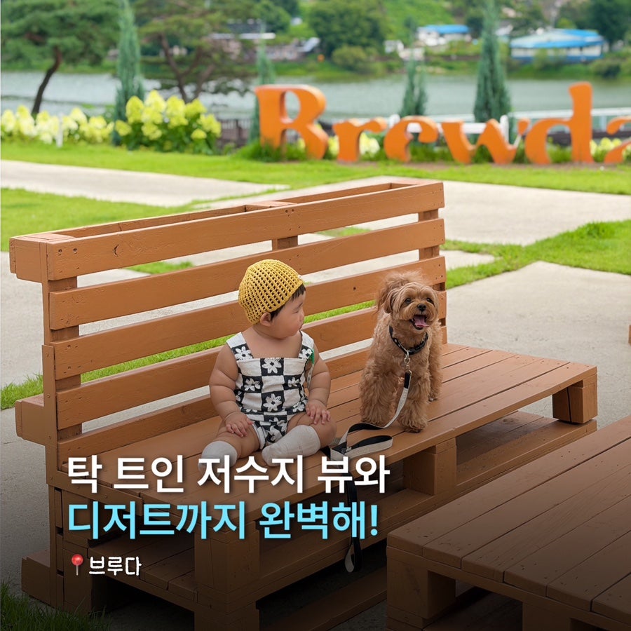 양주 애견동반 카페 브루다, 아기·강아지와 방문 후기 — 사진 17