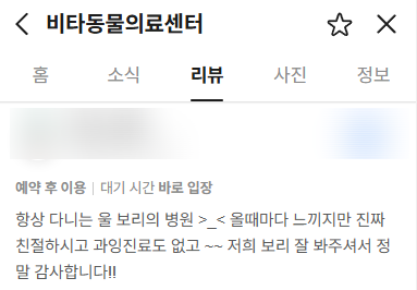 강아지 한쪽 눈 눈물, 광주 양동 동물병원 원인 진단 — 사진 4