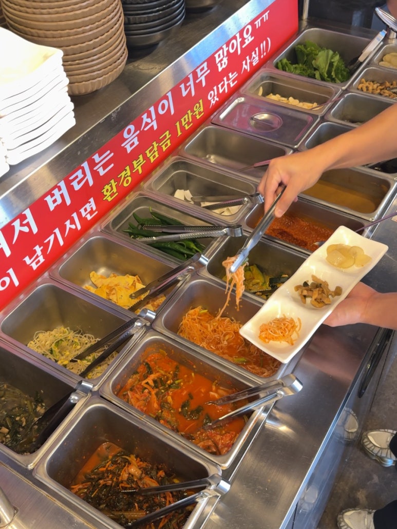 아라돼지 사진 3