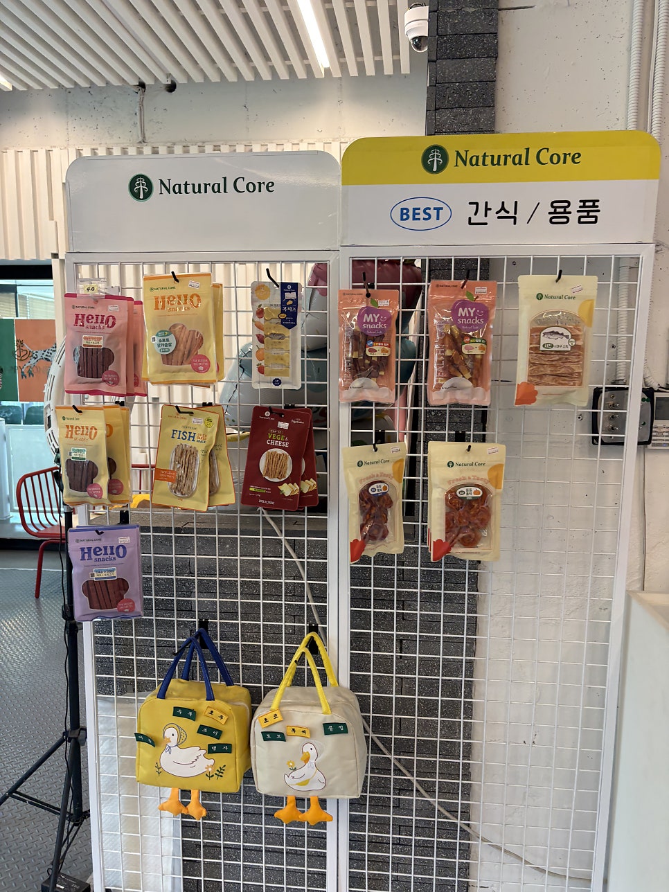 용인 근처 애견카페 유치원 호텔 티파니가든 — 사진 10
